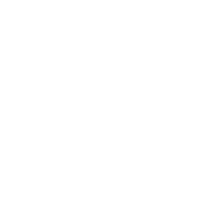 Evervibe, agencija za digitalni marketing
